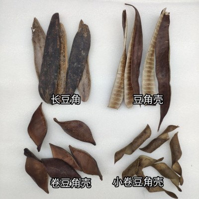 Natural Accessories Beans Bean Shell Dried Fruit Christmas Crafts DIY Foreign Trade Packaging Wholesale Decorative Photo Frame Background Material