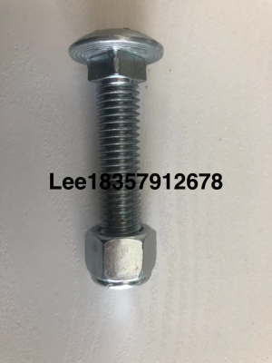 Standard Carriage Bolt Screws for Carriage