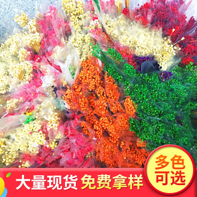 Natural Material Happy Flower Dried Flower Hay Little Star Flower Thought Flower DIY Epoxy Glass Cover Crafts Accessories