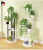 Simple Nordic Indoor Flower Stand Floor-Standing Art Multi-Layer Home Living Room Iron Flower Pot Succulent Green Radish Decoration