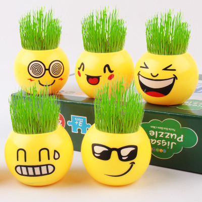 Smiley Face Expression DIY Potted Long Grass Doll Crafts Micro Landscape Decorations Potted Plant Flower Grow up Easily Easy to Keep