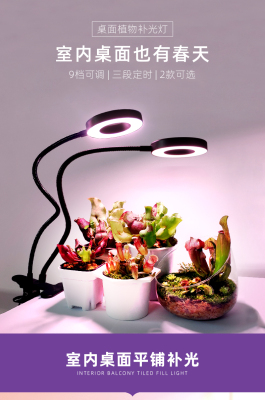 Plant Growth Lamp