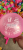 Printed Balloon Rubber Balloons Birthday Printing 10-Inch 12-Inch 1.2G 1.5G 1.8G 2G 2.2G