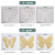 Three-Dimensional Butterfly 3D Hollow Metal Butterfly with Traceless Glue Foreign Trade European and American Hot Wall Stickers Creative Wall Stickers
