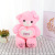 New 60cm Bear Yali Velvet Luminous Bow Holding-Heart Bear Plush Toy Teddy Bear Animal Doll Hot Sale