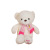 LED Luminous Music Bear with Scarf 30cm Teddy Bear Plush Toy Couple Bear One Pack