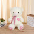 LED Luminous Music Plush Toy Couple Love Bear Heart-to-Heart Printed BEBEAR Teddy Bear Ragdoll Bear
