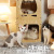 New Building Blocks Assembled Cabinet Pet Cat Nest Cat Winter Upper and Lower Bunk Hollow Four Seasons Universal Combination Kennel