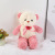 Factory Wholesale Cute Luminous Embossed Velvet Teddy Bear Doll Soft and Comfortable Big Bow Tie Flower Love Doll