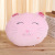 Factory Direct Supply Luminous Music Pillow Plush Toy Birthday Gift Cute Cat Induction Plush Pillow