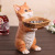 Fortune Cat Decoration Animal Resin Crafts European-Style Home Decoration Hallway Shoe Cabinet Key Storage Box