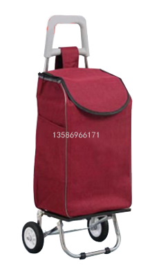 Cloth Bag Car 38-1