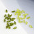 Japanese Style All-Matching Green Transparent Small Leaf Acrylic Handmade Jewelry Earrings Ear Stud Accessories Material