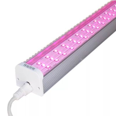 High-Power Sun-Proof LED Grow Light Meat and Vegetables Combo Strawberry Led Plant Fill Light