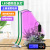 Plant Lamp Household Fill Light Amazon New USB Timing Cycle Dimming Landscape Lamp Led Plant Growth Lamp