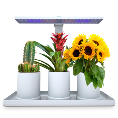 Plant Growth Lamp LED Full Spectrum Desktop Plant Lamp Timing Dimming Succulent Fill Light Amazon Hot