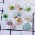 DIY Fun Fresh Resin Epoxy Real Flower and Dried Flower Three-Dimensional Small Pendant Patch Material Earrings Earring Accessories