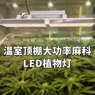 High Power Full Spectrum Plant Growth Lamp 640W Dimmable Greenhouse Planting Shed Light Led Plant Lamp
