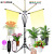 Plant Lamp Reverse Folding Tripod Led Full Spectrum Plant Growth Lamp Remote Control 4 Tube 5 Tube Support Plant Lamp