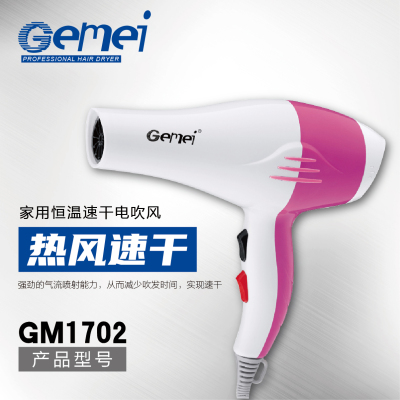 Gemei GM-1702 hair dryer cold and hot air two gear hair dryer hairdressing tool