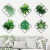 Xi Pan Stickers Fresh Greenery Grid Dormitory Bedroom Hallway 6 Pieces Combination Background Decorative Wall Sticker Support Customization
