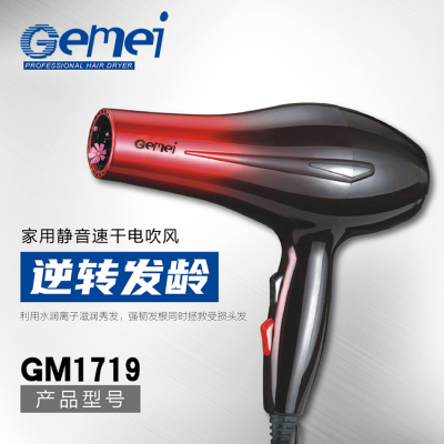 Gemei 1719 hair salon high-power hair dryer household thermostatic hair dryer hot and cold wind ultra-quiet