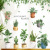 Xi Pan Stickers Green Leaf Potted Succulent Artistic Fresh Living Room Bedroom Dorm Plant Stickers Nordic Wall Flowers