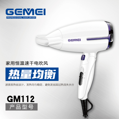 GEMEI 112 Hairdressing Folding Hair Dryer