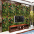 Green Plant Wallpaper Dining Room Entrance Company Balcony Dormitory TV Wall Background Wall Decoration Wallpaper SA-1038
