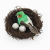 Simulation Bird Nest Bird Nest