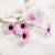 5 Heads New York Aster Little Daisy Calliopsis High-End Artificial Flower Silk Flower Ono Chrysanthemum Fake Flower Daisy