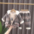  Children's Suit Autumn and Winter Western Style Boys and Girls Thick Quilted Sweater Coat Sweatpants Three-Piece Suit