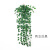 Wholesale Simulation Wall Hanging Flower Green Radish Ornamental Flower Artificial Green Leaf Living Room Decoration Plant Wall Wall-Mounted Rattan Leaves