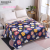 Yiwu Good Goods Thickened Blanket Air Conditioning Blanket Student Dormitory Velvet Blanket Warm Sleeping Blanket