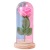 Creative Glow Star Light Handle Flower Small Night Lamp Rose Gift Solid Wood Valentine's Day Preserved Fresh Flower Gift