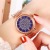 New Plastic Gypsophila Watch Women's Quartz Watch Steel Watch Women's Watch Women's Watch Reloj
