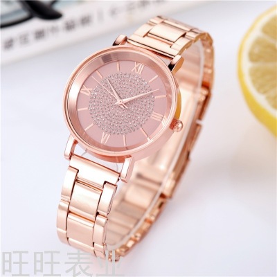 New Plastic Gypsophila Watch Women's Quartz Watch Steel Watch Women's Watch Women's Watch Reloj