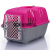 Plastic Flight Case for Pet Dogs and Cats Check-in Suitcase Size Model Size Dog Aviation Cage Portable Outing Box