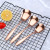 304 Stainless Steel Tableware Flat Head Flat Bottom Stainless Steel Spoon Bright Thickened Chinese Spoon Student Spoon Fixed Log