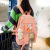 New Backpack Leisure Sports Backpack Student Schoolbag Travelling Bag Bag Fashion Hand Bag Women Bag Syorage Box