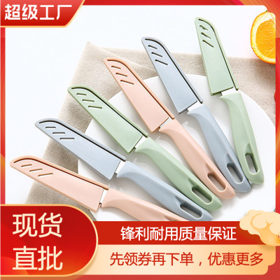 3r13 Japanese Style Color Straight Handle SST Fruit Knife, Supermarket Household Fruit Knife Peeling Fruit Knife