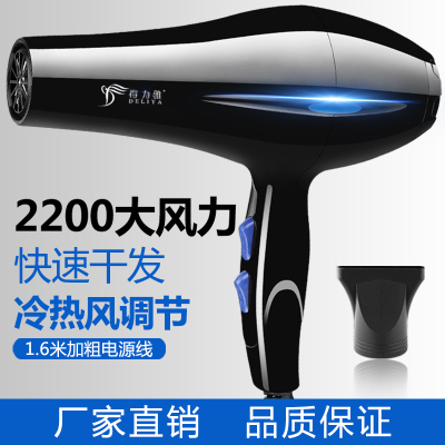 Customized Foreign Trade Household Electric Hair Dryer Professional DC AC Hair Dryer Private Model High-Power High-Wind Hair Dryer