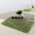 Absorbent, Non-Slip Carpet, Floor Mat, Carpet