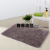 Absorbent, Non-Slip Carpet, Floor Mat, Carpet