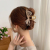 Elegant Hair Grip Women's Summer Internet Celebrity New Mesh Barrettes Back Head Hairpin Clip Headdress