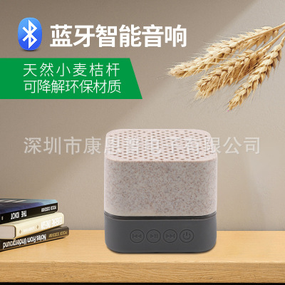 Cross-Border 2021 New Wireless Bluetooth Speaker Degradable Platycodon Grandiflorum Smart Car Mini Audio Spot Speaker