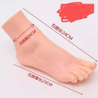High Simulation Women Foot Model Socks Mold Shoe Mould Stockings Short Socks Foot Mannequin Women's Left and Right Feet Foot Care Props
