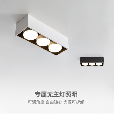 Headless Lamp Lighting Box Lamp Double-Headed Surface Mounted Downlight Living Room Bean Gall Lamp Grille Lamp Aisle Hallway Ceiling Spotlight
