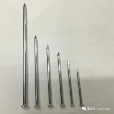 Galvanized Iron Nail/Galvanized Nail