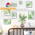 Artificial Green Plant Photo Frame Creative Stickers Living Room Bedroom Furnishing Decoration Wall Self-Adhesive Sticker Wholesale Photo Frame Stickers